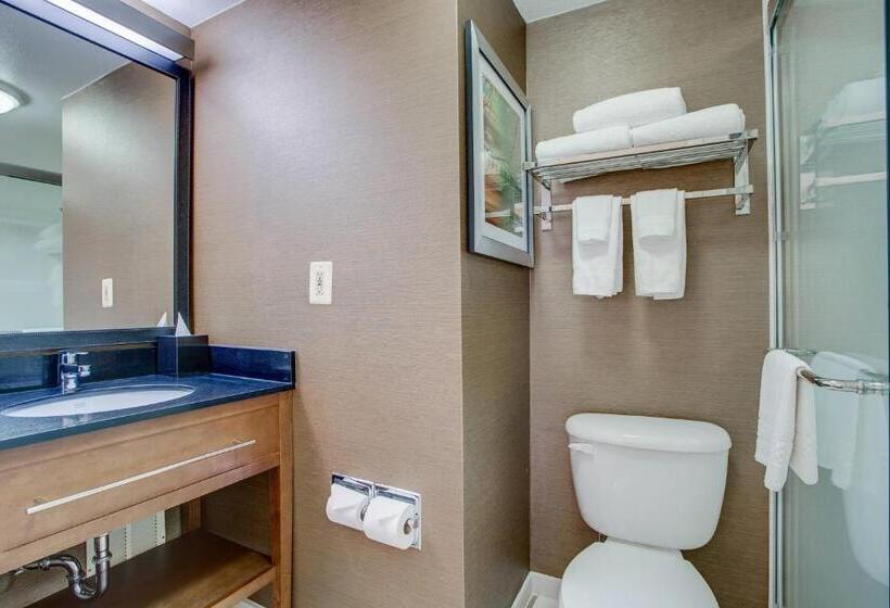 اتاق استاندارد با تخت بزرگ, Fairfield Inn By Marriott Burlington Williston