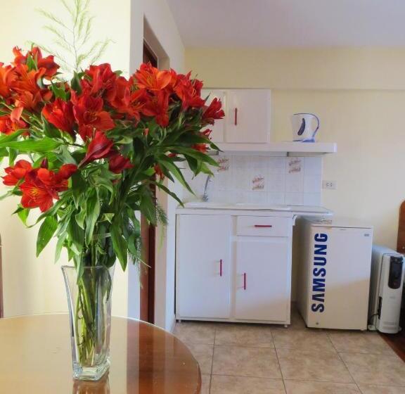 آپارتمان 1 خوابه, Los Aticos B&b With Coworking
