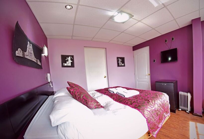 اتاق استاندارد, Wifala Thematic Hotel Boutique