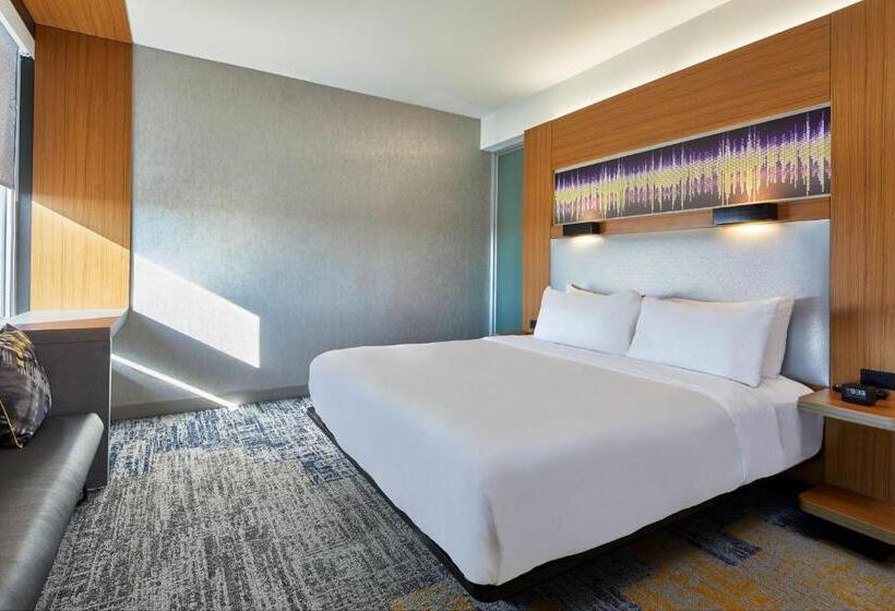 اتاق استاندارد با تخت بزرگ, Aloft Dulles Airport North