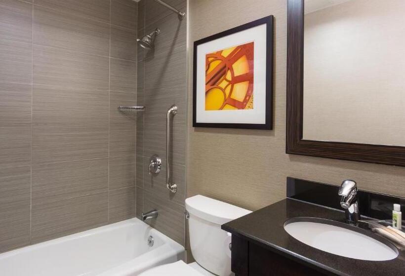 اتاق استاندارد با 2 تخت دوبل, Holiday Inn Lower East Side, An Ihg