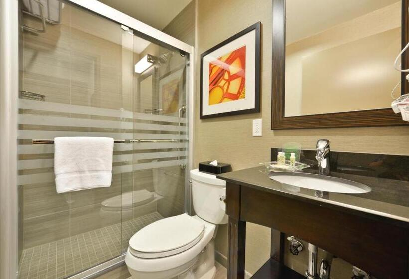 اتاق استاندارد با تخت بزرگ, Holiday Inn Lower East Side, An Ihg