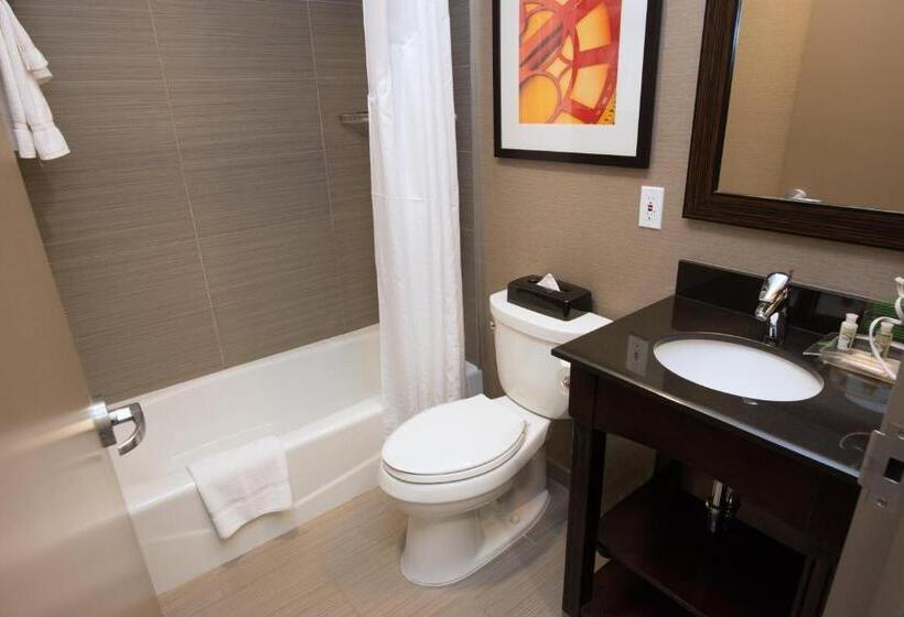 اتاق سوپریور, Holiday Inn Lower East Side, An Ihg