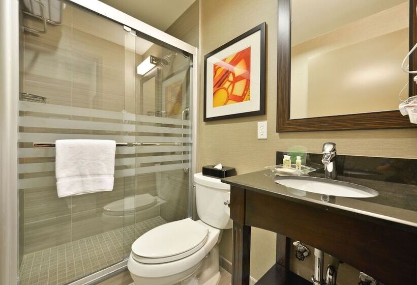 اتاق استاندارد با 2 تخت دوبل, Holiday Inn Lower East Side, An Ihg