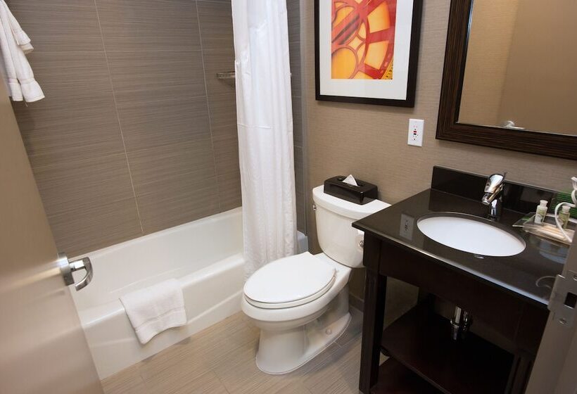 اتاق استاندارد با 2 تخت دوبل, Holiday Inn Lower East Side, An Ihg