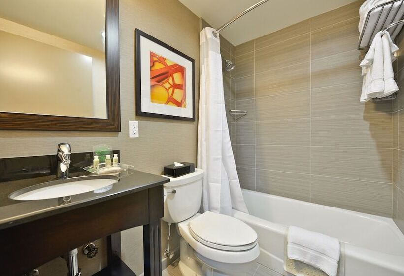 اتاق استاندارد با 2 تخت دوبل, Holiday Inn Lower East Side, An Ihg