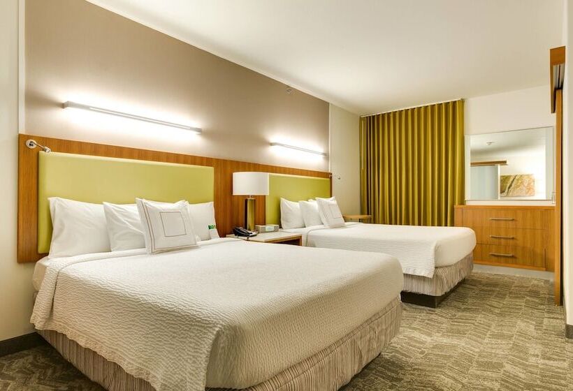 استودیوی استاندارد, Springhill Suites By Marriott Mcallen Convention Center