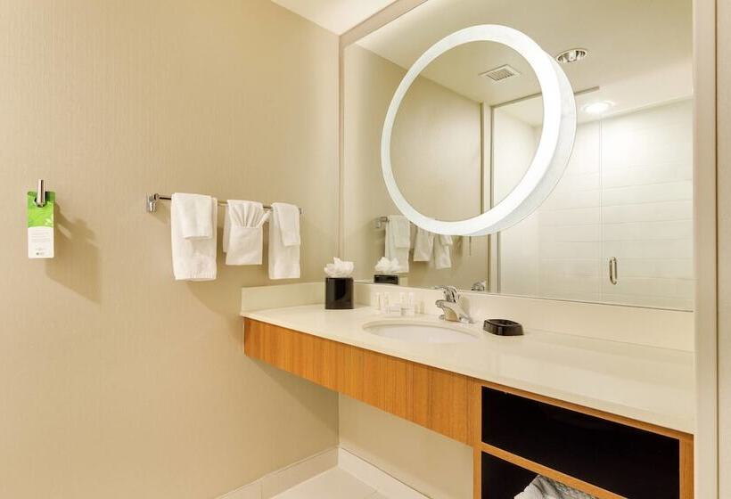 استودیوی استاندارد, Springhill Suites By Marriott Mcallen Convention Center
