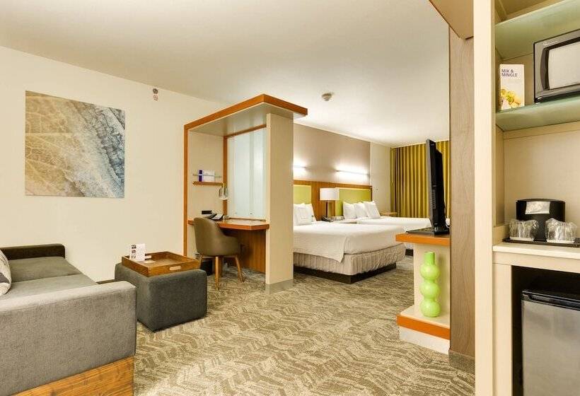 استودیوی استاندارد, Springhill Suites By Marriott Mcallen Convention Center