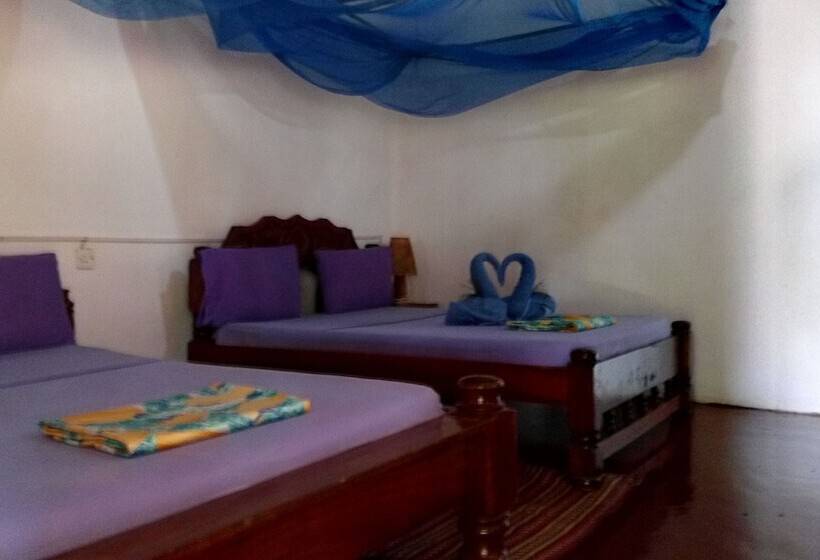 اتاق استاندارد با چشم‌انداز دریا, Twisted Palms Lodge & Restaurant