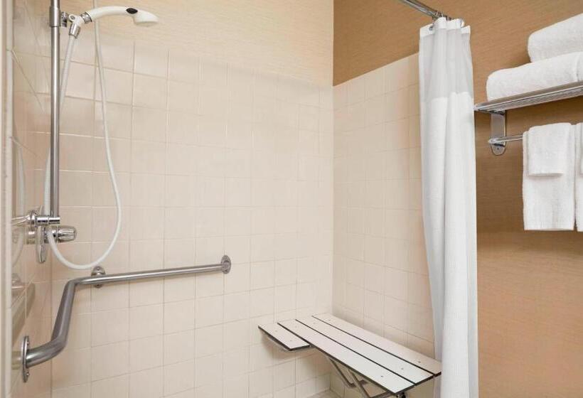 اتاق استاندارد با تخت بزرگ, Fairfield Inn & Suites Minneapolisst. Paul Airport