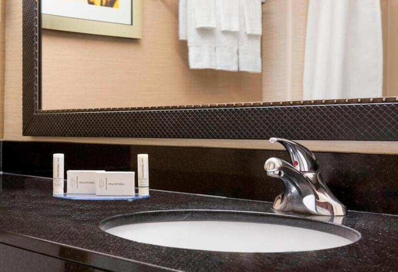 اتاق استاندارد با تخت بزرگ برای معلولان, Fairfield Inn & Suites Minneapolisst. Paul Airport