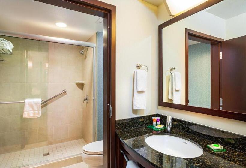 اتاق استاندارد با تخت بزرگ, Hyatt Place San Diego/vista Carlsbad