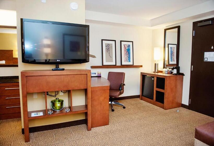 استودیو استاندارد با تخت کینگ, Hyatt Place San Diego/vista Carlsbad