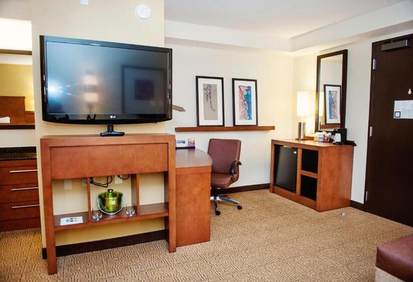 Studio Standard Lit King Size, Hyatt Place San Diego Carlsbad Vista