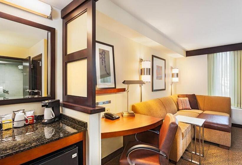 استودیو استاندارد با تخت کینگ, Hyatt Place San Diego/vista Carlsbad