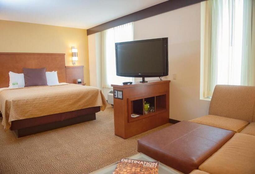 Studio Standard Lit King Size, Hyatt Place San Diego Carlsbad Vista