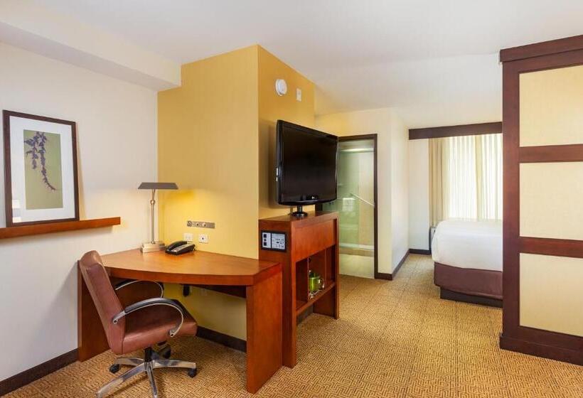 Habitación Estándar Cama King Adaptada para personas con movilidad reducida, Hyatt Place San Diego Carlsbad Vista