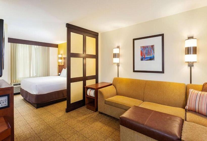 Standard Room Adapted for people with reduced mobility, Hyatt Place San Diego Carlsbad Vista