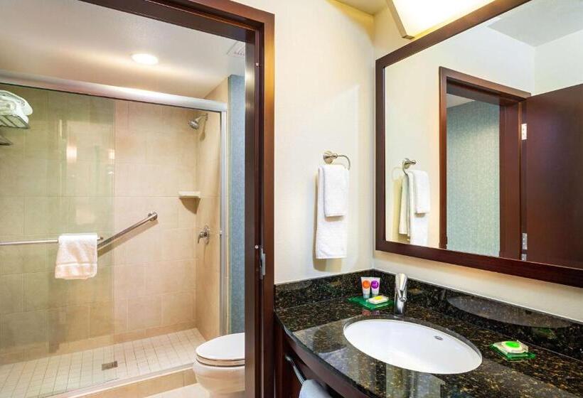 اتاق استاندارد برای معلولان, Hyatt Place San Diego/vista Carlsbad