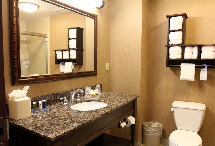 اتاق استاندارد با تخت دوبل و چشم‌انداز, Pier House 60 Clearwater Beach Marina