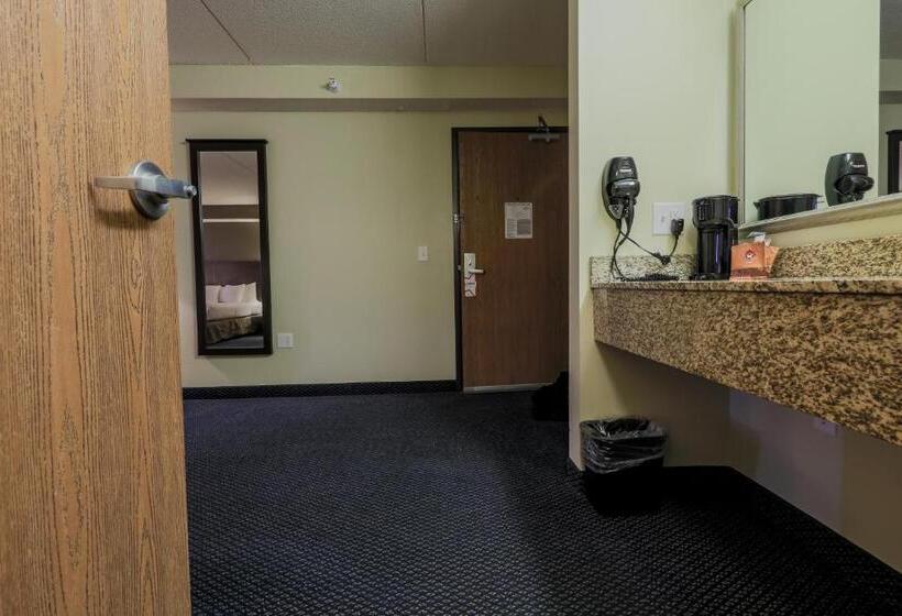 اتاق لوکس با تخت بزرگ, Americinn By Wyndham Lincoln South