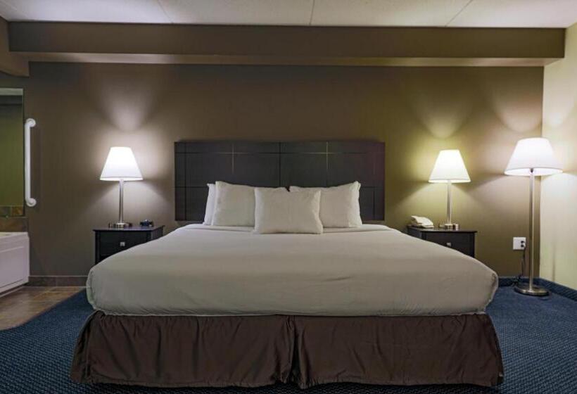 اتاق لوکس با تخت بزرگ, Americinn By Wyndham Lincoln South