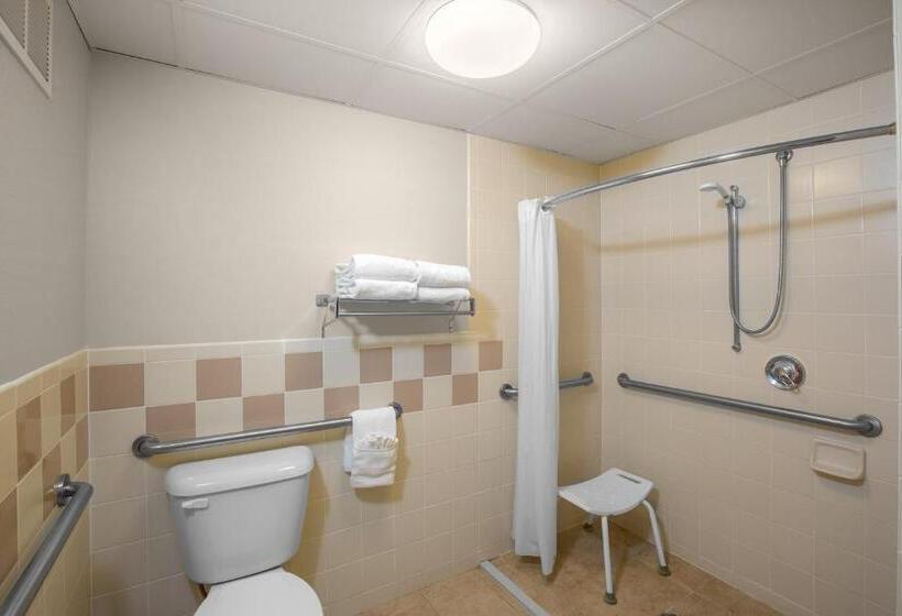 اتاق استاندارد با تخت بزرگ برای معلولان, Americinn By Wyndham Lincoln South