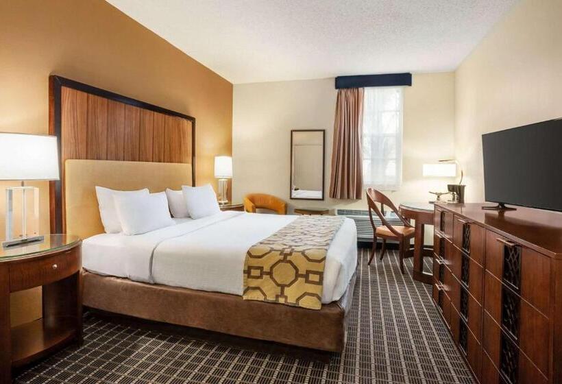 اتاق استاندارد با تخت بزرگ, Belmont Inn & Suites