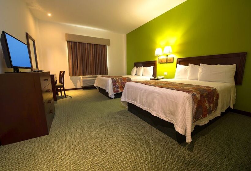 اتاق استاندارد, Brio Inn