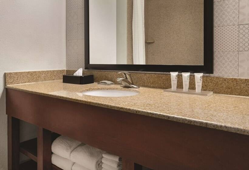 Suite Adapted for people with reduced mobility, Country Inn & Suites By Radisson, Madison, Al