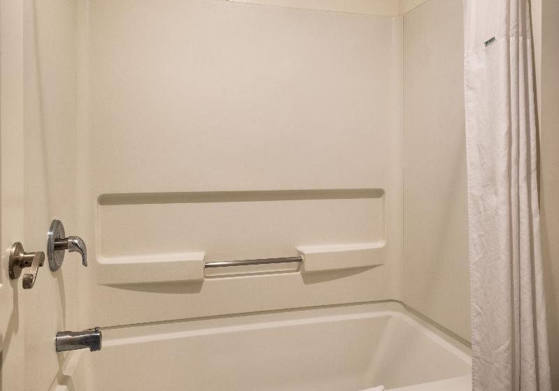 اتاق استاندارد با تخت بزرگ برای معلولان, Country Inn & Suites By Radisson, Madison, Al