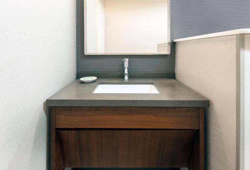 اتاق استاندارد با تخت بزرگ برای معلولان, Courtyard By Marriott Danbury