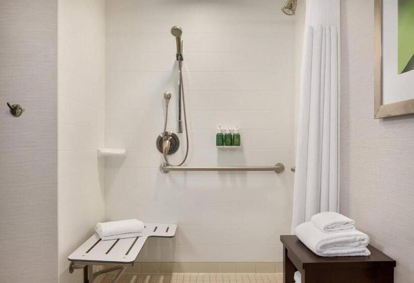 اتاق استاندارد با تخت بزرگ, Courtyard Greenville