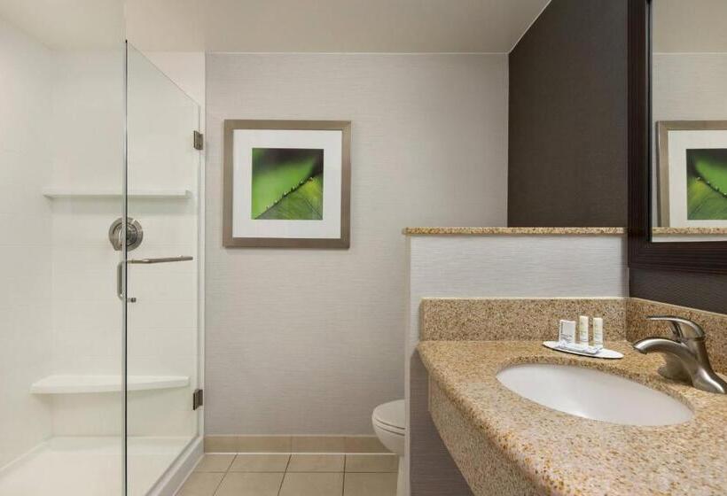 اتاق استاندارد, Courtyard Greenville