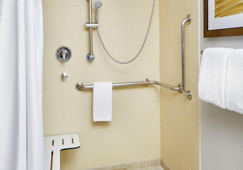 اتاق استاندارد با تخت بزرگ, Courtyard By Marriott San Antonio Six Flags At The Rim