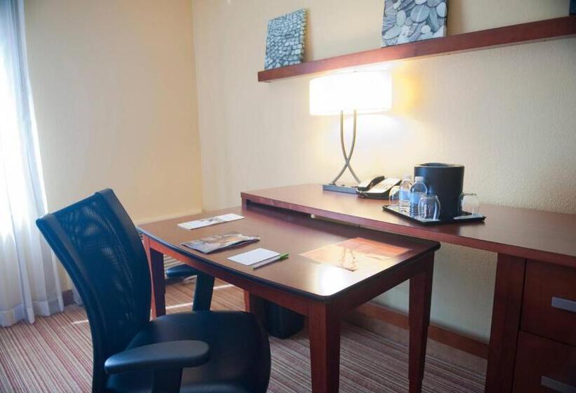 اتاق استاندارد با تخت بزرگ, Courtyard Shreveport Airport