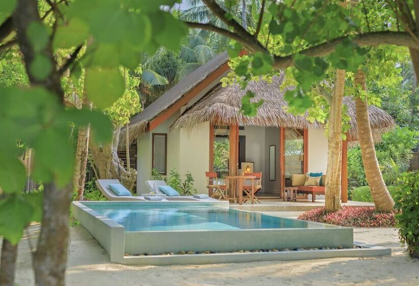ویلای یک اتاق خوابه با استخر شنا, Dusit Thani Maldives
