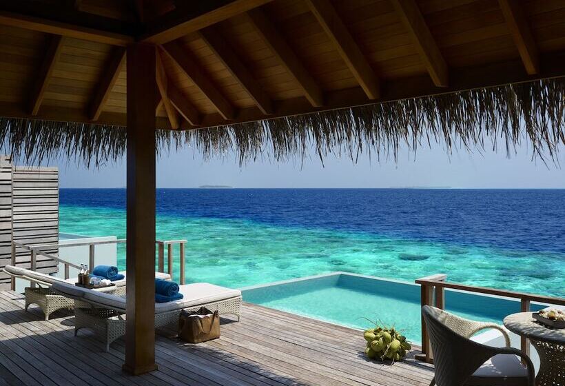 ویلای یک اتاق خوابه با استخر شنا, Dusit Thani Maldives