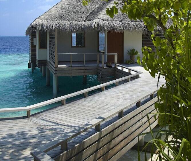 ویلای یک اتاق خوابه با استخر شنا, Dusit Thani Maldives