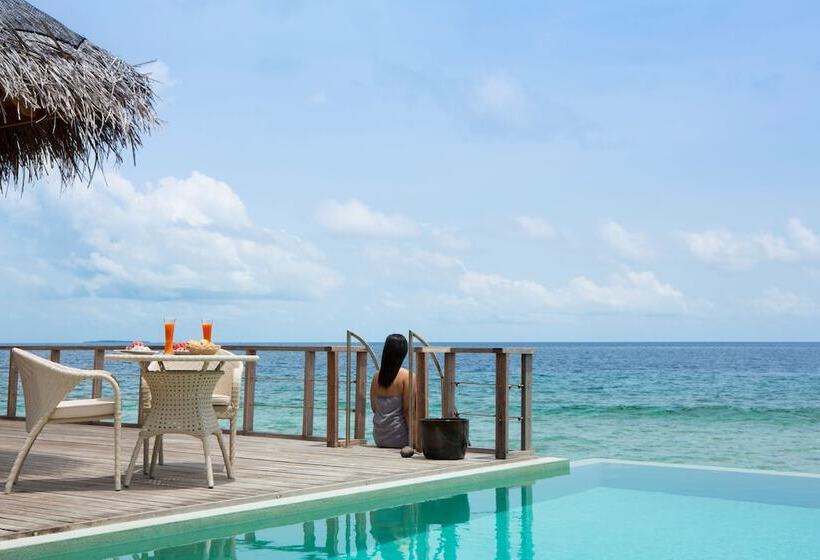 ویلای یک اتاق خوابه با استخر شنا, Dusit Thani Maldives