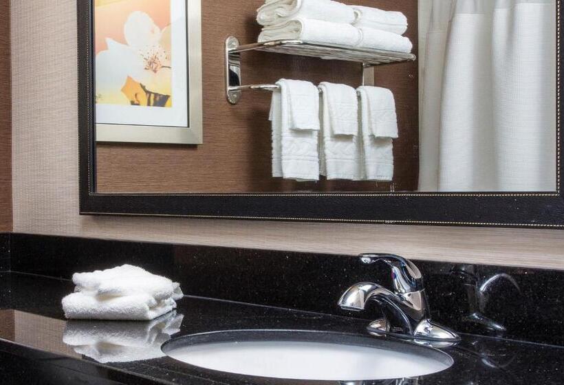 اتاق استاندارد با تخت بزرگ, Fairfield Inn & Suites By Marriott Dayton South