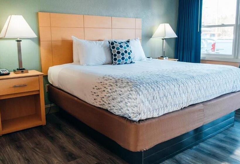 اتاق استاندارد با تخت بزرگ, Quiet Corner Inn