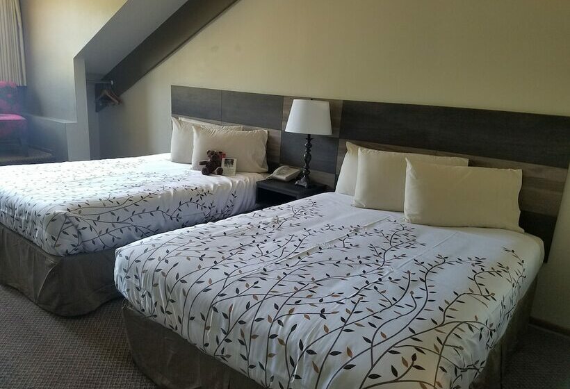 اتاق استاندارد با 2 تخت دوبل, Roosevelt Inn Mount Rushmore
