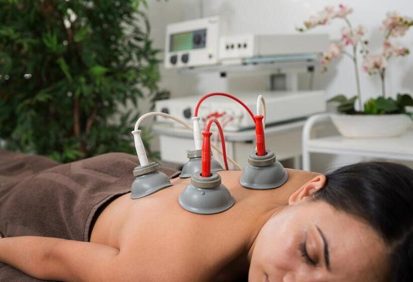اتاق استاندارد, Spa Club Bor
