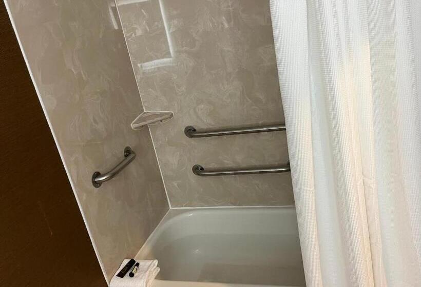 اتاق استاندارد با تخت بزرگ برای معلولان, Wingate By Wyndham Great Falls