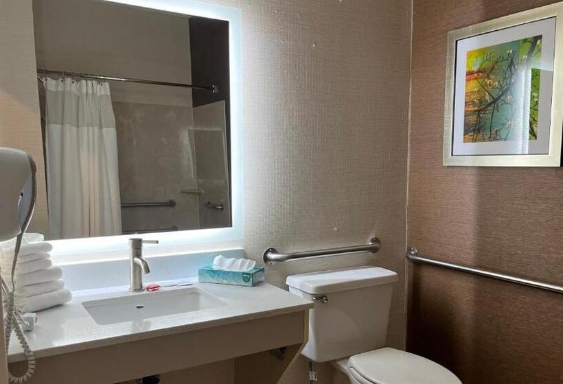 اتاق استاندارد با تخت بزرگ برای معلولان, Wingate By Wyndham Great Falls