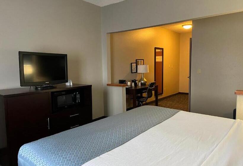 اتاق لوکس با تخت بزرگ, Wingate By Wyndham Great Falls