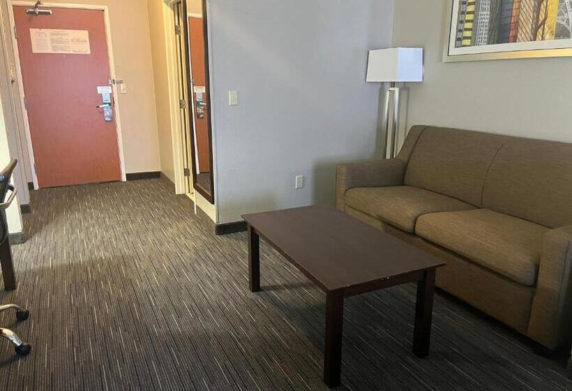 اتاق لوکس با تخت بزرگ, Wingate By Wyndham Great Falls