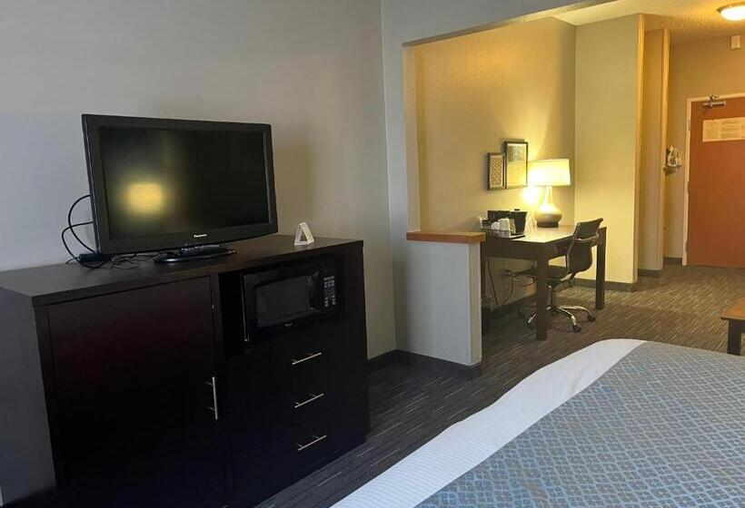 اتاق لوکس با تخت بزرگ, Wingate By Wyndham Great Falls